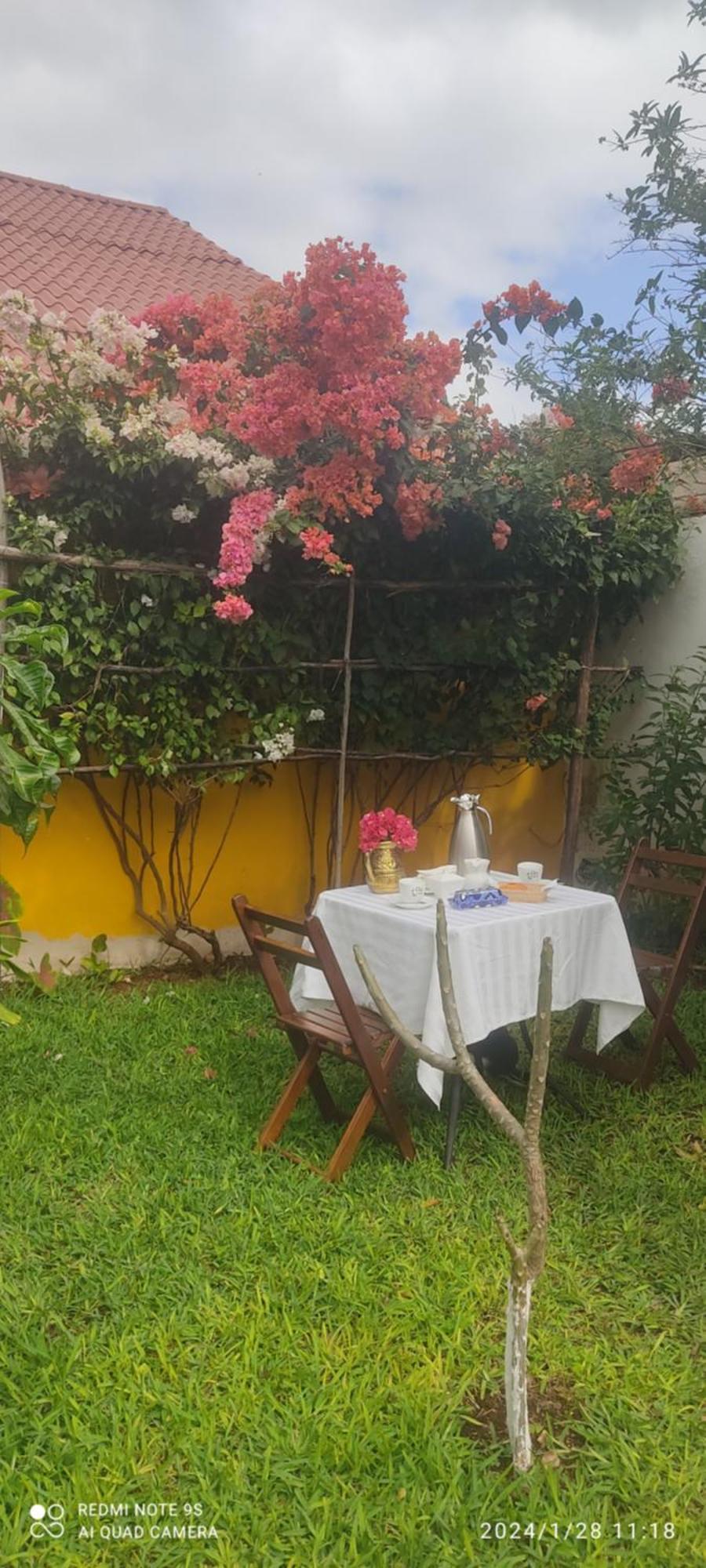 לינה וארוחת בוקר Ticul Quinta Rosita מראה חיצוני תמונה