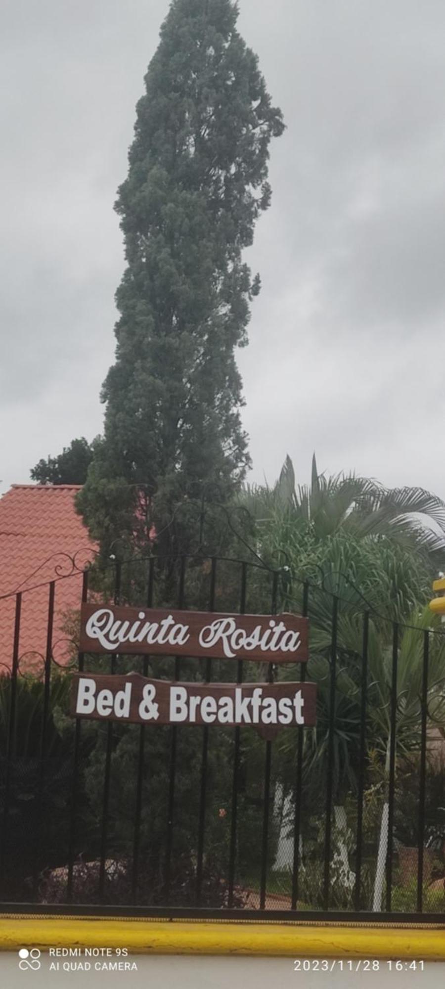 לינה וארוחת בוקר Ticul Quinta Rosita מראה חיצוני תמונה