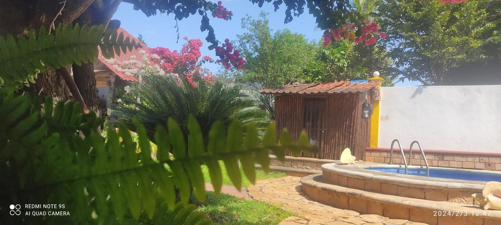 לינה וארוחת בוקר Ticul Quinta Rosita מראה חיצוני תמונה