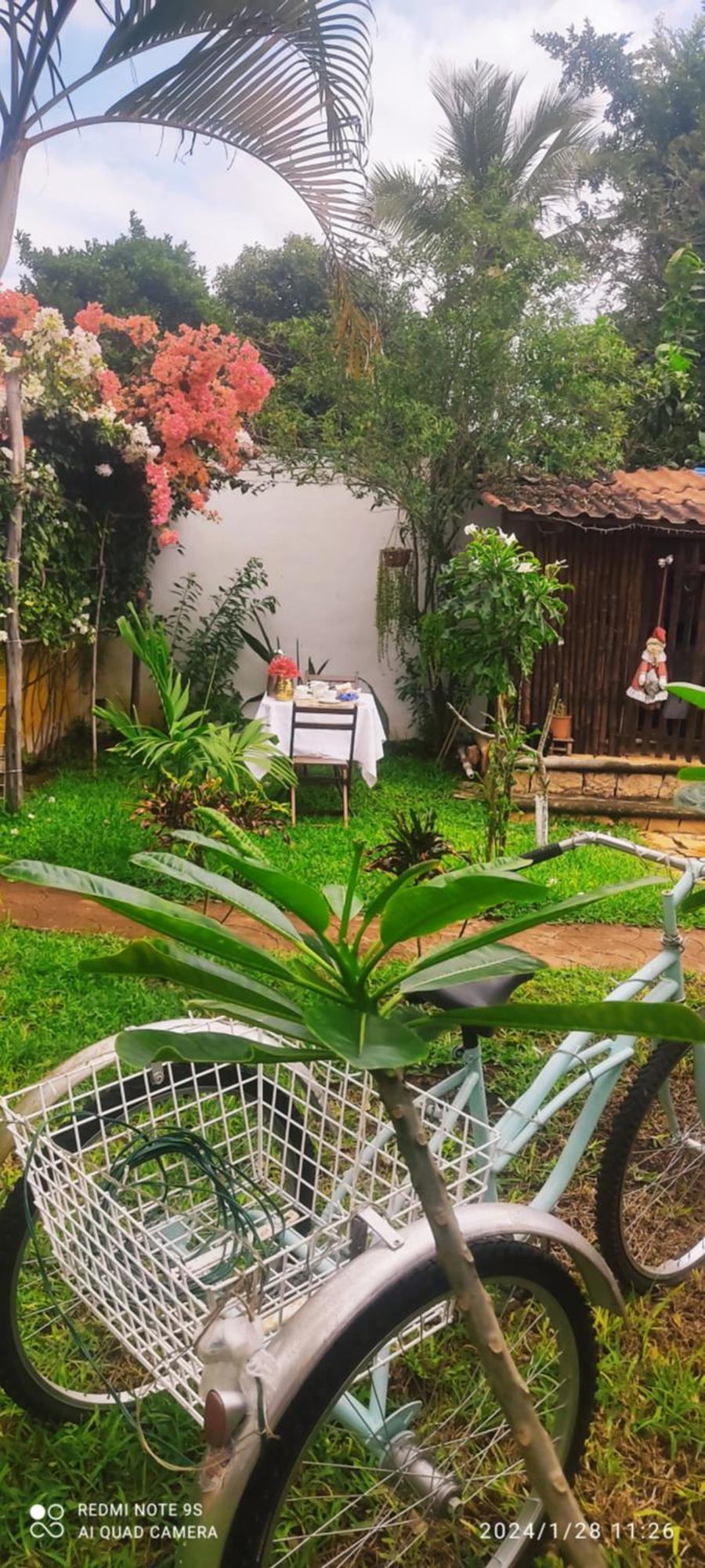 לינה וארוחת בוקר Ticul Quinta Rosita מראה חיצוני תמונה