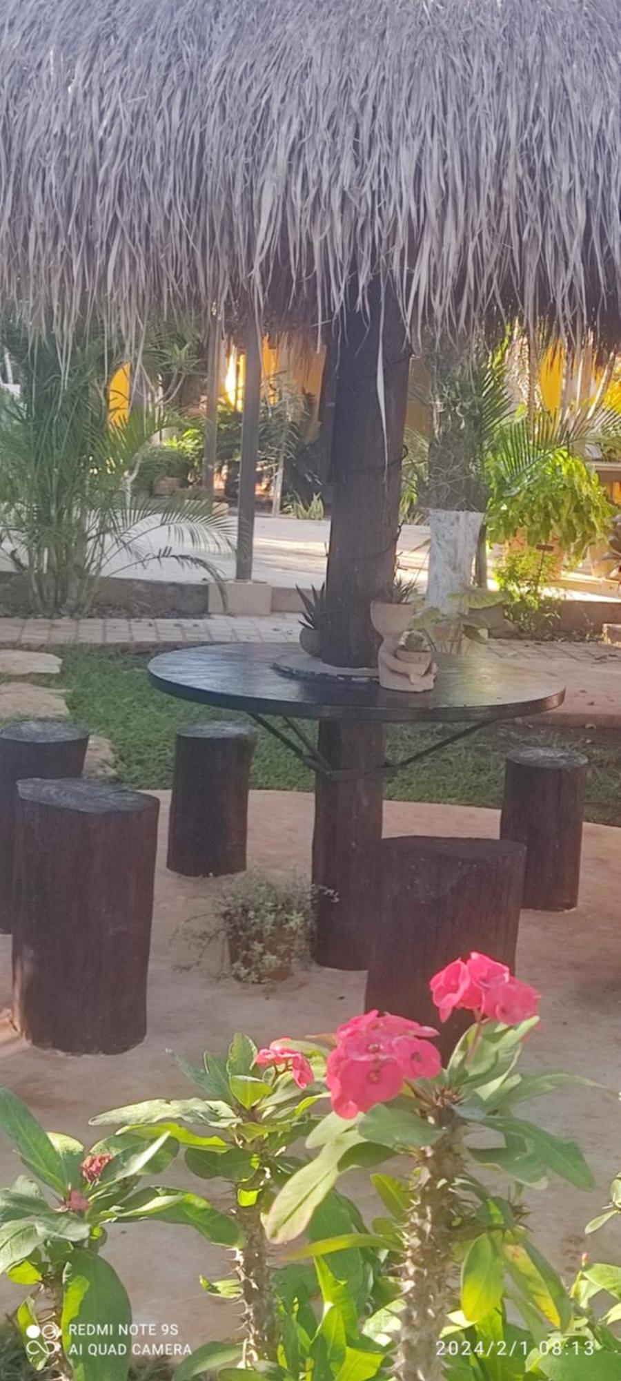 לינה וארוחת בוקר Ticul Quinta Rosita מראה חיצוני תמונה