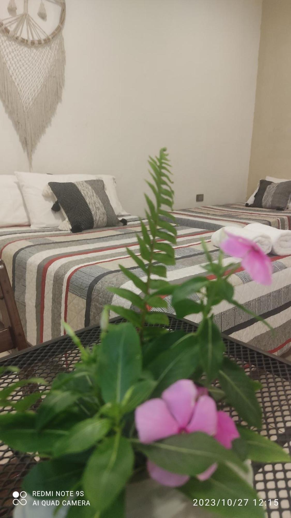 לינה וארוחת בוקר Ticul Quinta Rosita מראה חיצוני תמונה