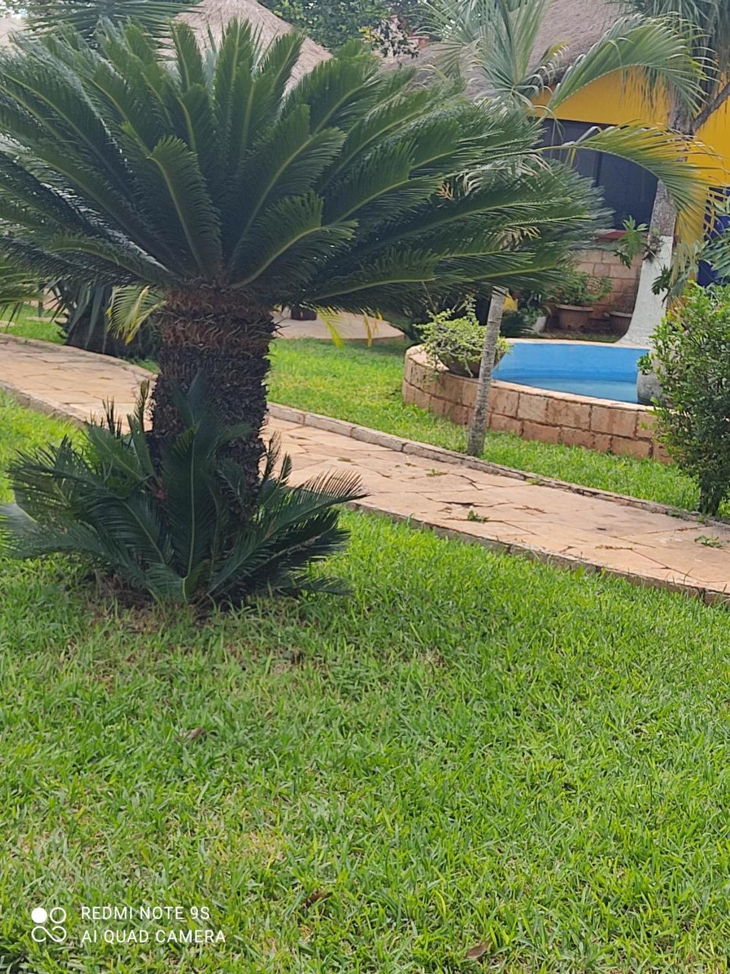 לינה וארוחת בוקר Ticul Quinta Rosita מראה חיצוני תמונה
