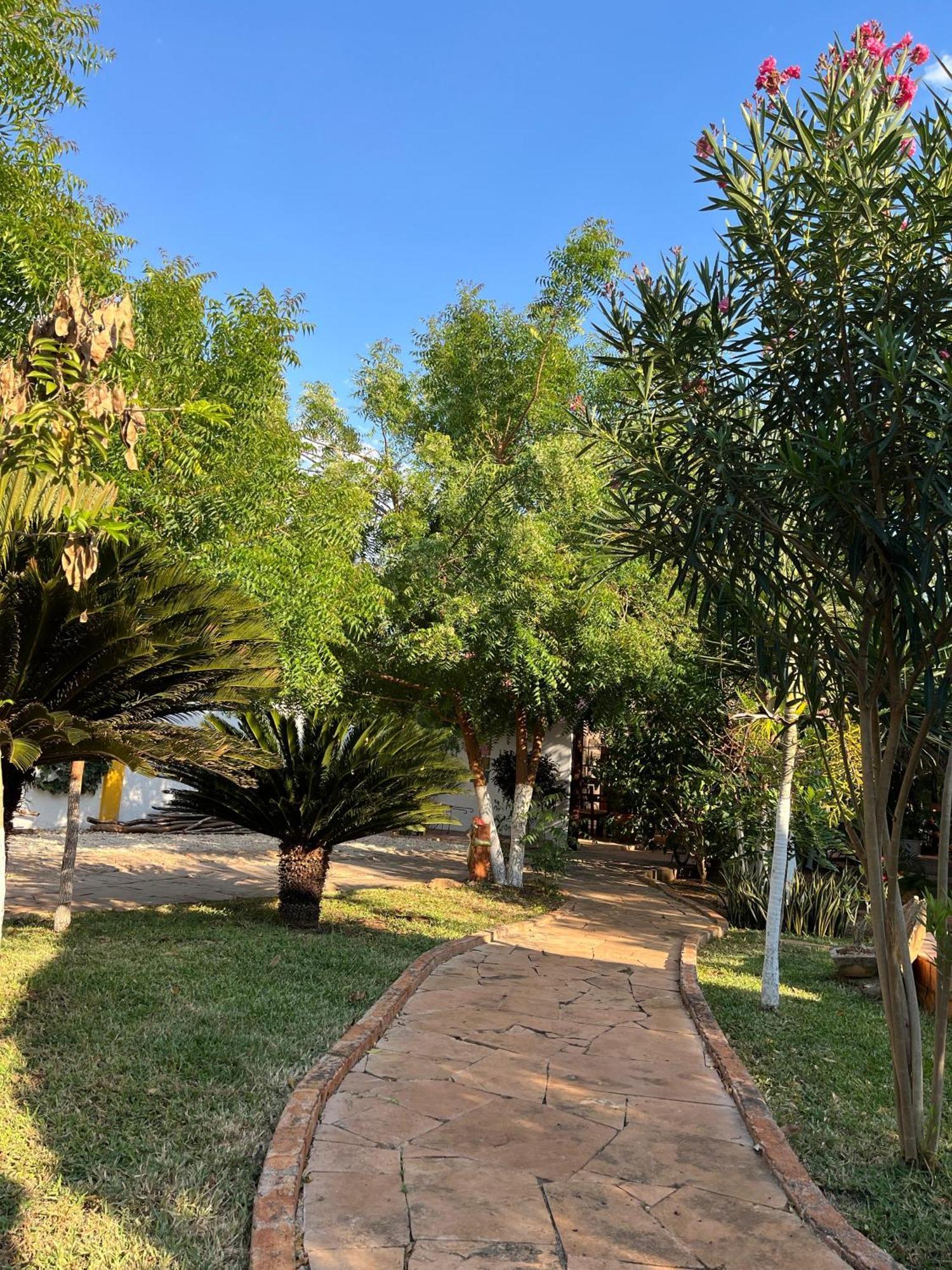 לינה וארוחת בוקר Ticul Quinta Rosita מראה חיצוני תמונה